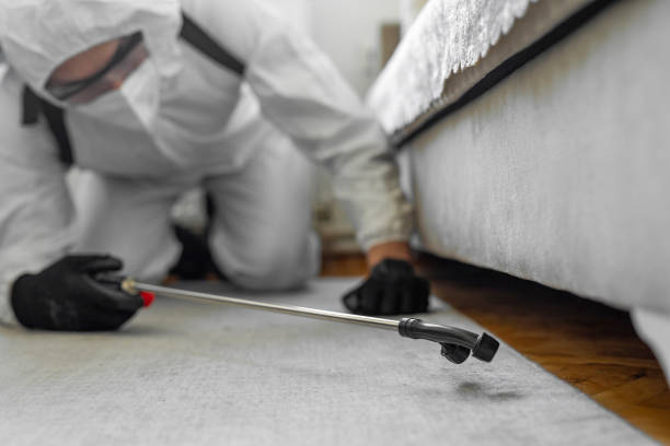 Professional Ant Control technician working in Northwoods, MO